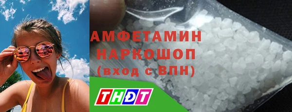 шишки Арсеньев