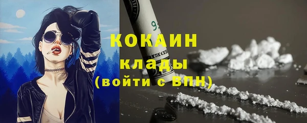 шишки Арсеньев