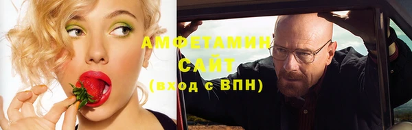 шишки Арсеньев