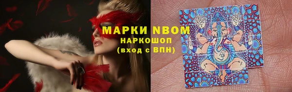 шишки Арсеньев